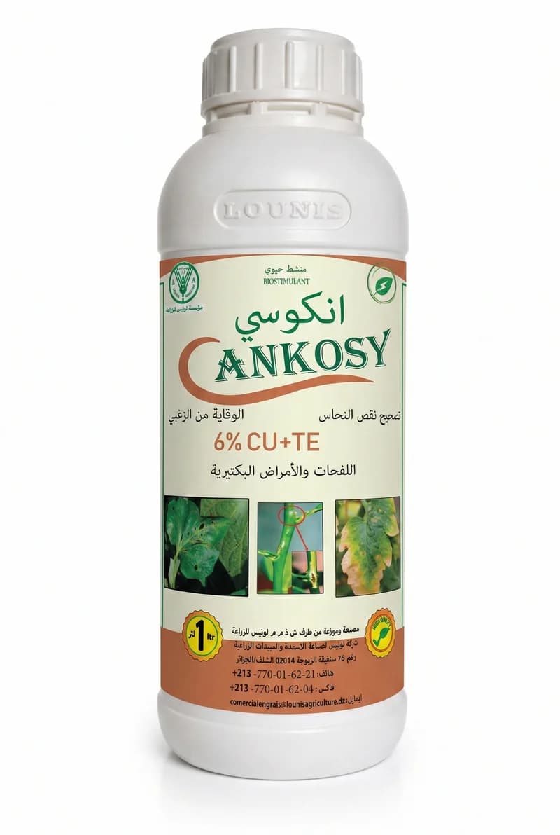 الانكوسي 6%