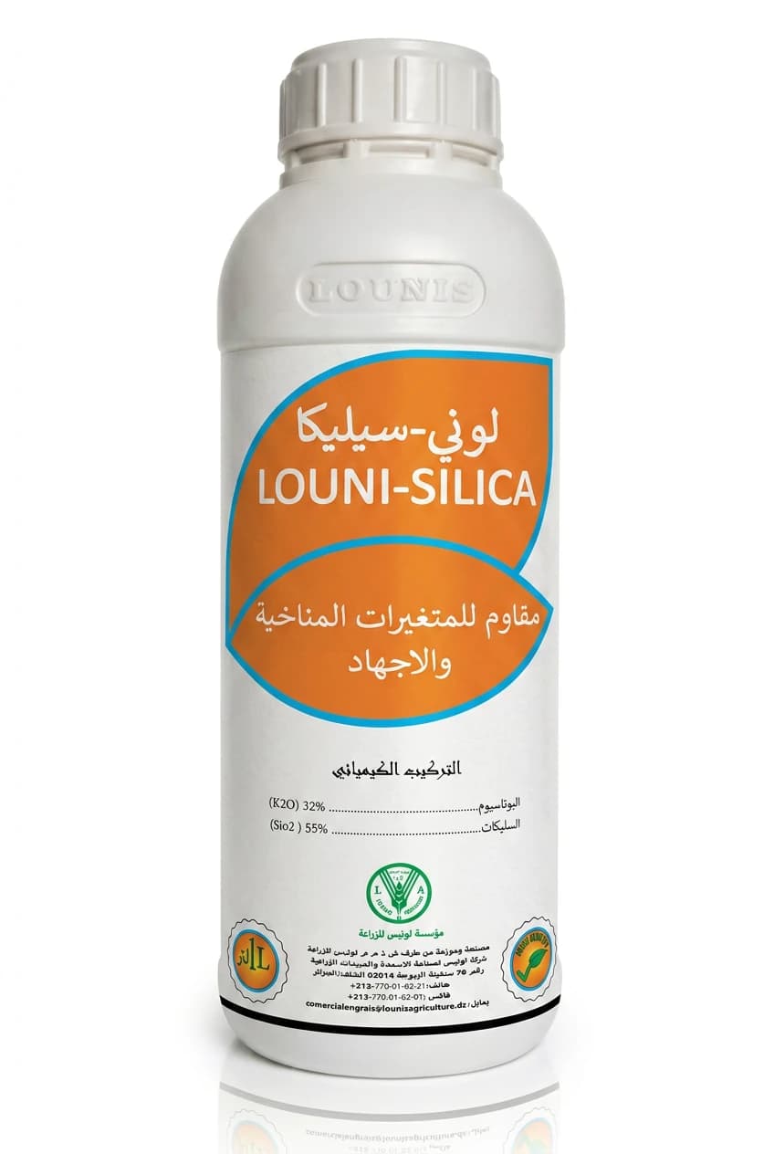 لوني سيليكا